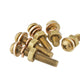 M3 M4 M5 Brass Phillips Pan Head Screws with Washer & Hex Nut – Fully Threaded, Grade 5