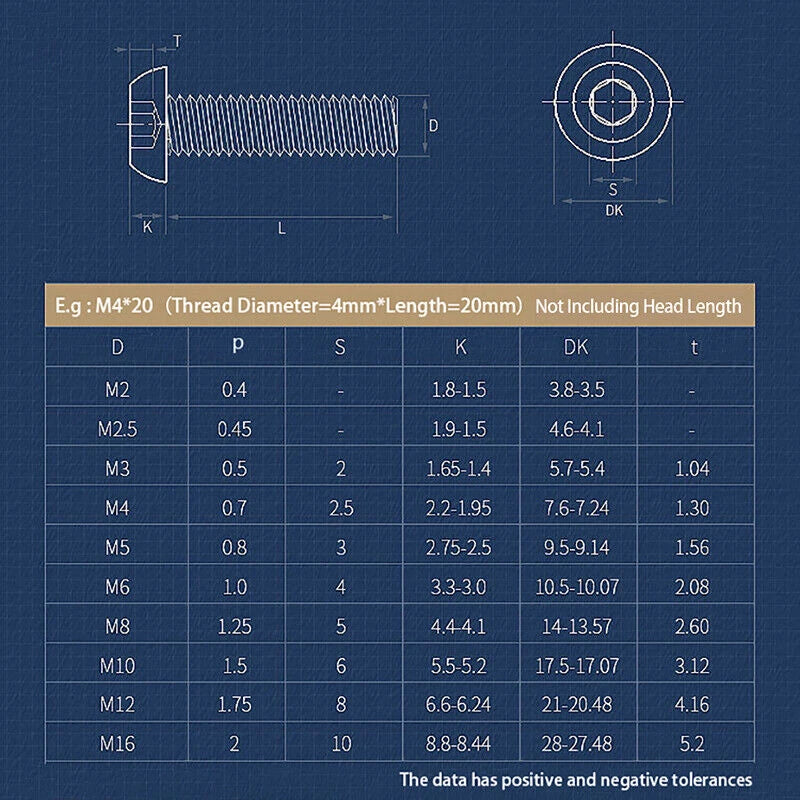 M6 M8 M10 Button Head Hex Drive Screws – 316 Stainless Steel Marine Grade Machine Bolts (Fully Threaded)