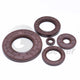 TC FKM Double Lip Oil Seal Rotary Shaft Sealing ID 25mm-40mm