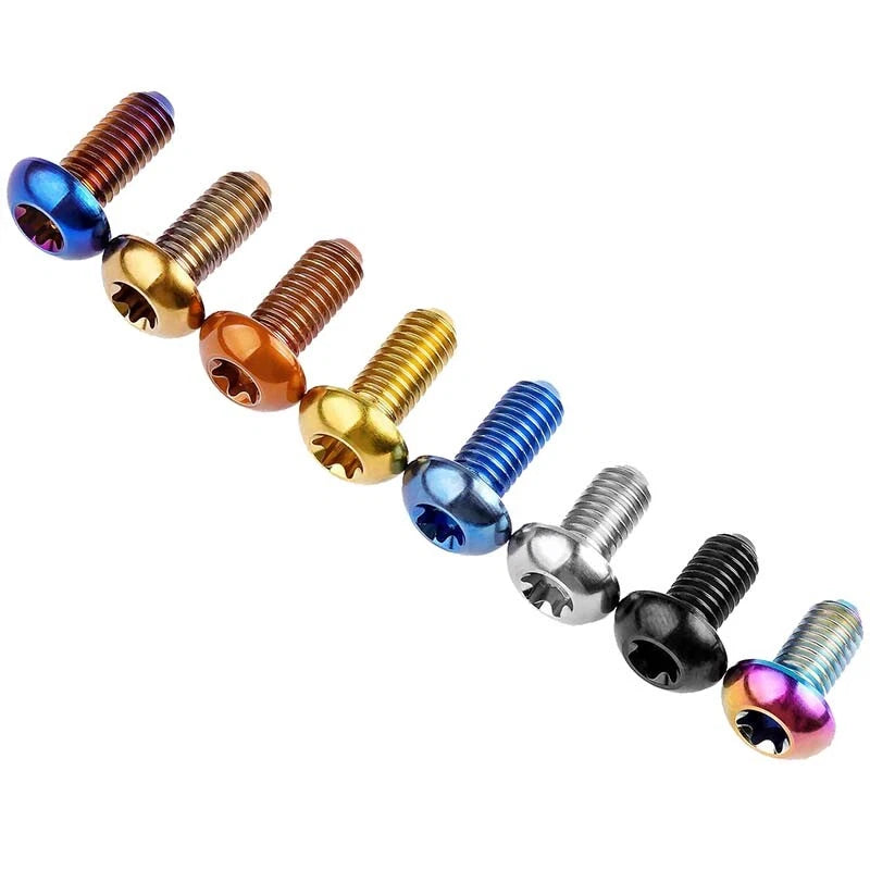 Titanium Bolt M5x10mm 12mm Round Head Screws TORX Ti Machine Bolts Metric