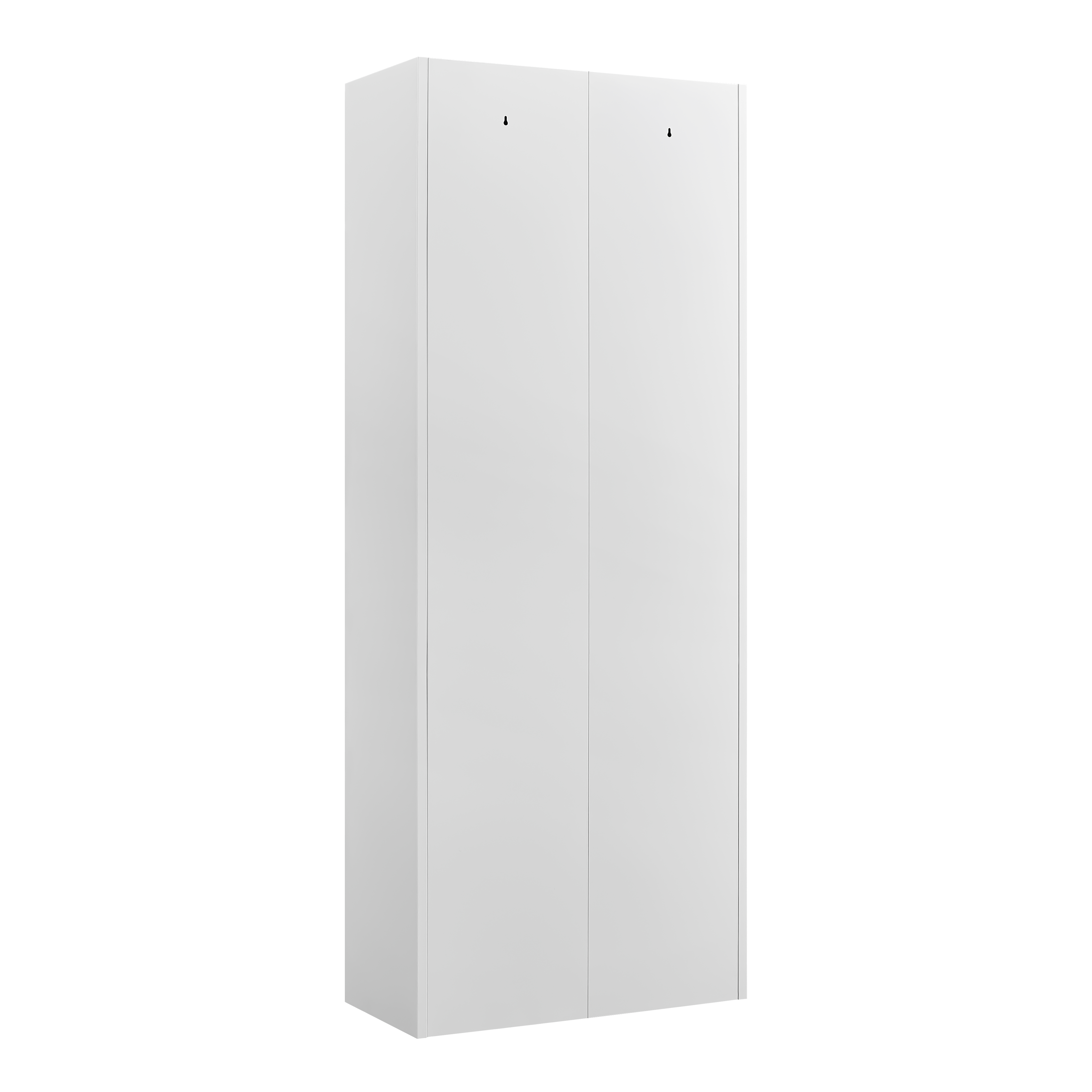 Metal Adjustable 2 Doors Metal Storage Cabinet Kitchen Pantry Cabinet With Adjustable Shelves Tall Steel Cabinet Locker For Kitchen, Living Room, Dining Room And Office