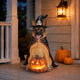 Halloween German Shepherd Statue with LED Pumpkin, 20-Inch Resin