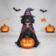 Halloween Labrador Dog Statue with LED Pumpkin, 19.69-Inch Resin
