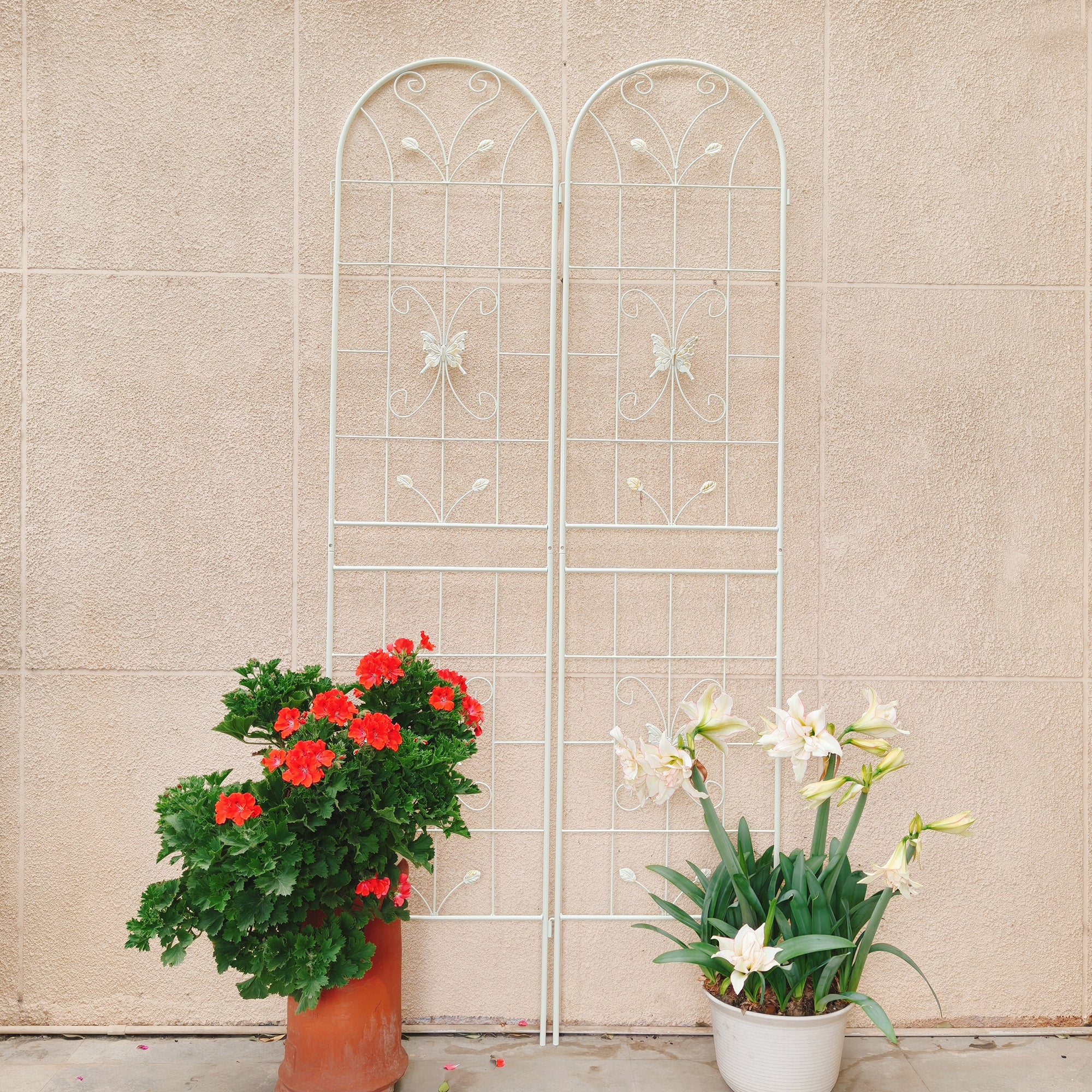 Metal Garden Trellis for Climbing Plants – Rustproof Powder Coated, Cream White & Black (2 or 4-Pack)