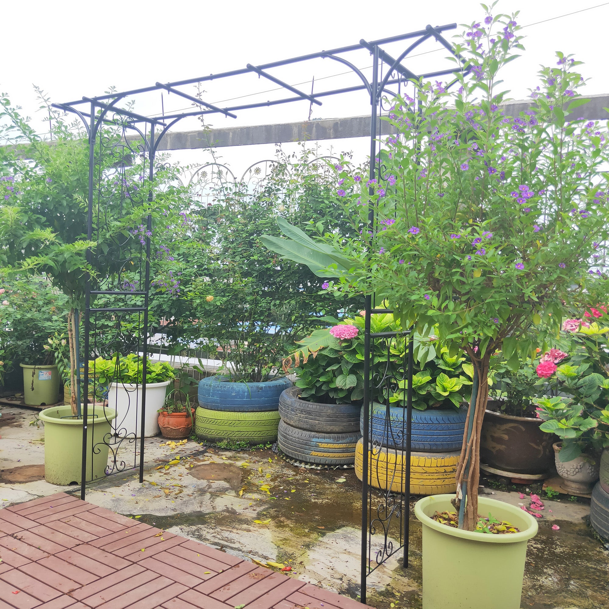 Metal Garden Arch L80.3'' x W20.47'' x H81.1'' Climbing Plants Support Rose Arch Outdoor Black