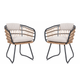 Beige PE Rattan Outdoor Dining Chairs Set of 2 with Cushions, Wicker Armchairs for Garden Patio Poolside