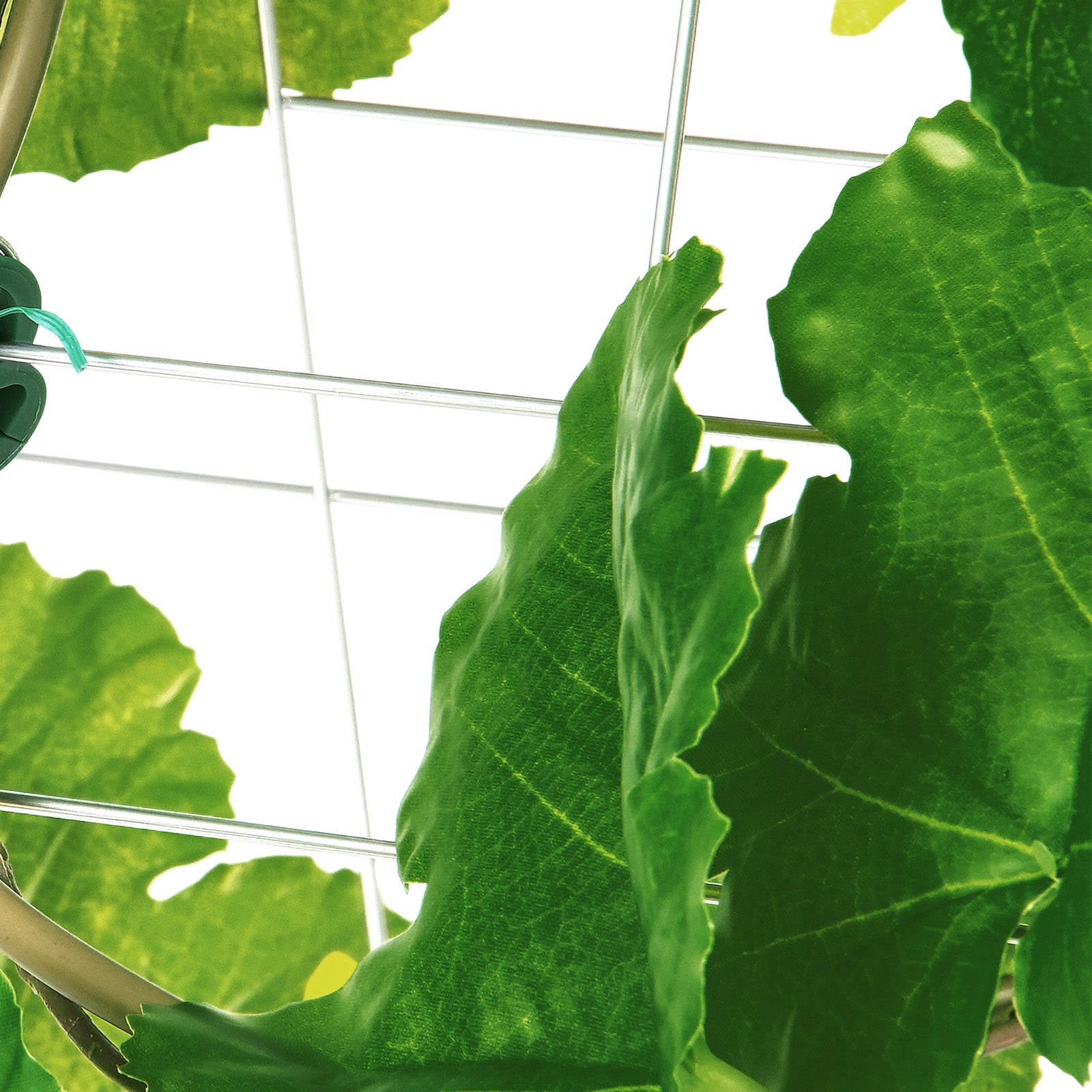 A-Frame Cucumber Trellis 35" x 55" Foldable Metal Garden Trellis
