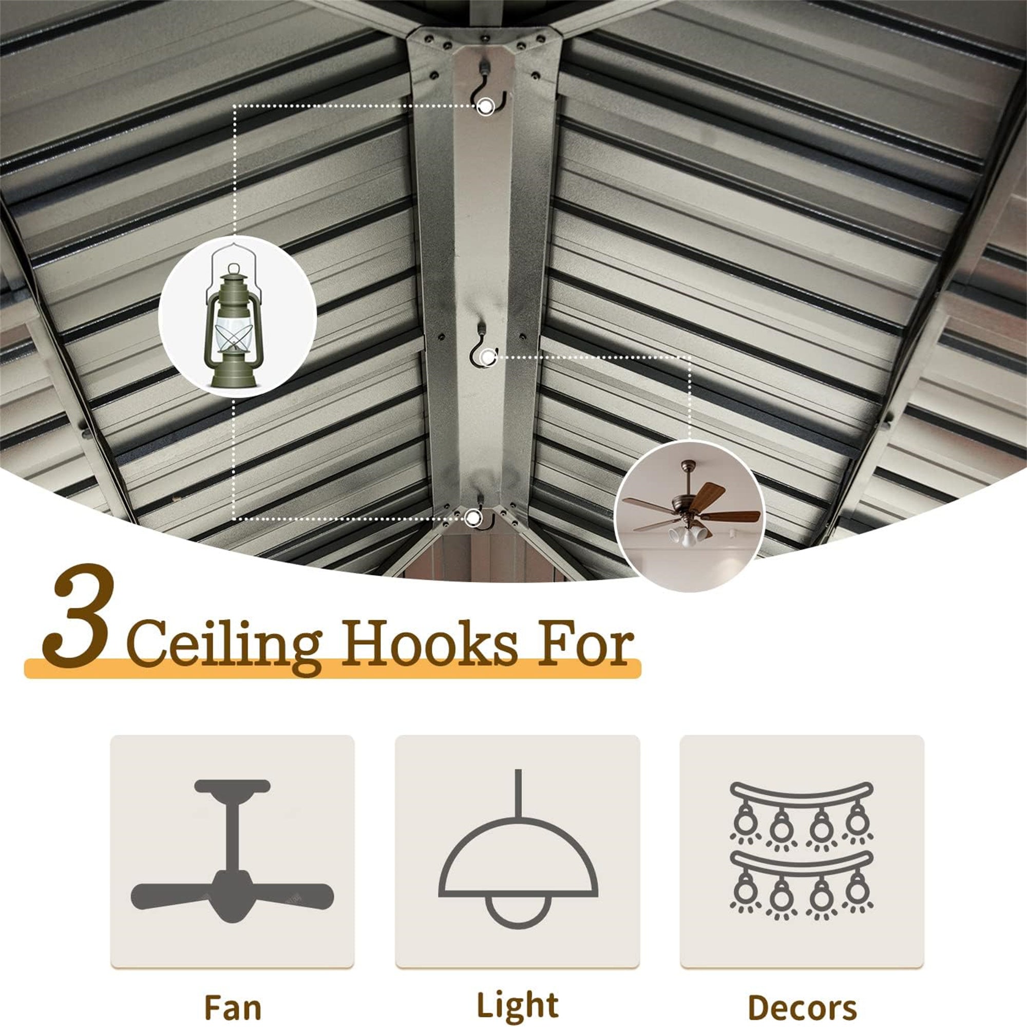 25235684