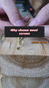 High-quality wood screws | HomeDIYer